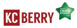 Kcberry Microcement